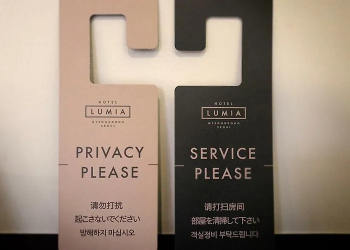 酒店 Lumia Myeongdong 首爾